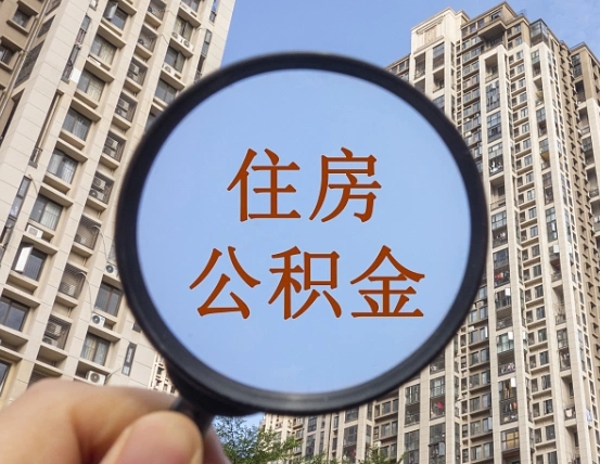 高安退休后查不到公积金明细了吗（退休后公积金查询不到原因）